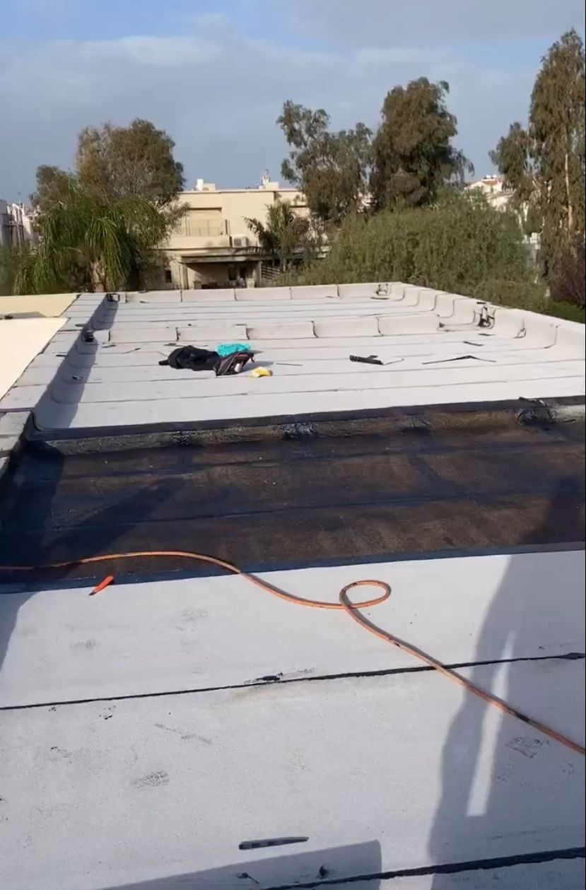 צילום מעבודה של ליאן תמם