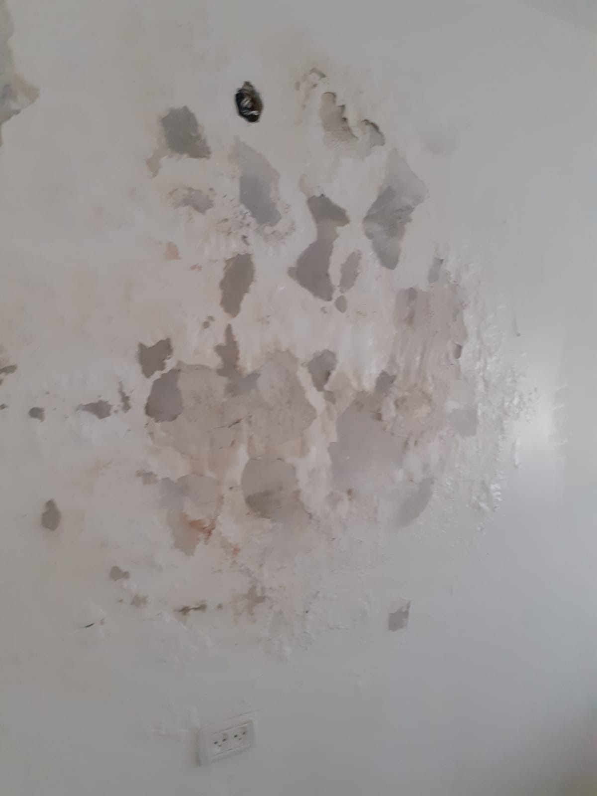 תיקון רטיבות