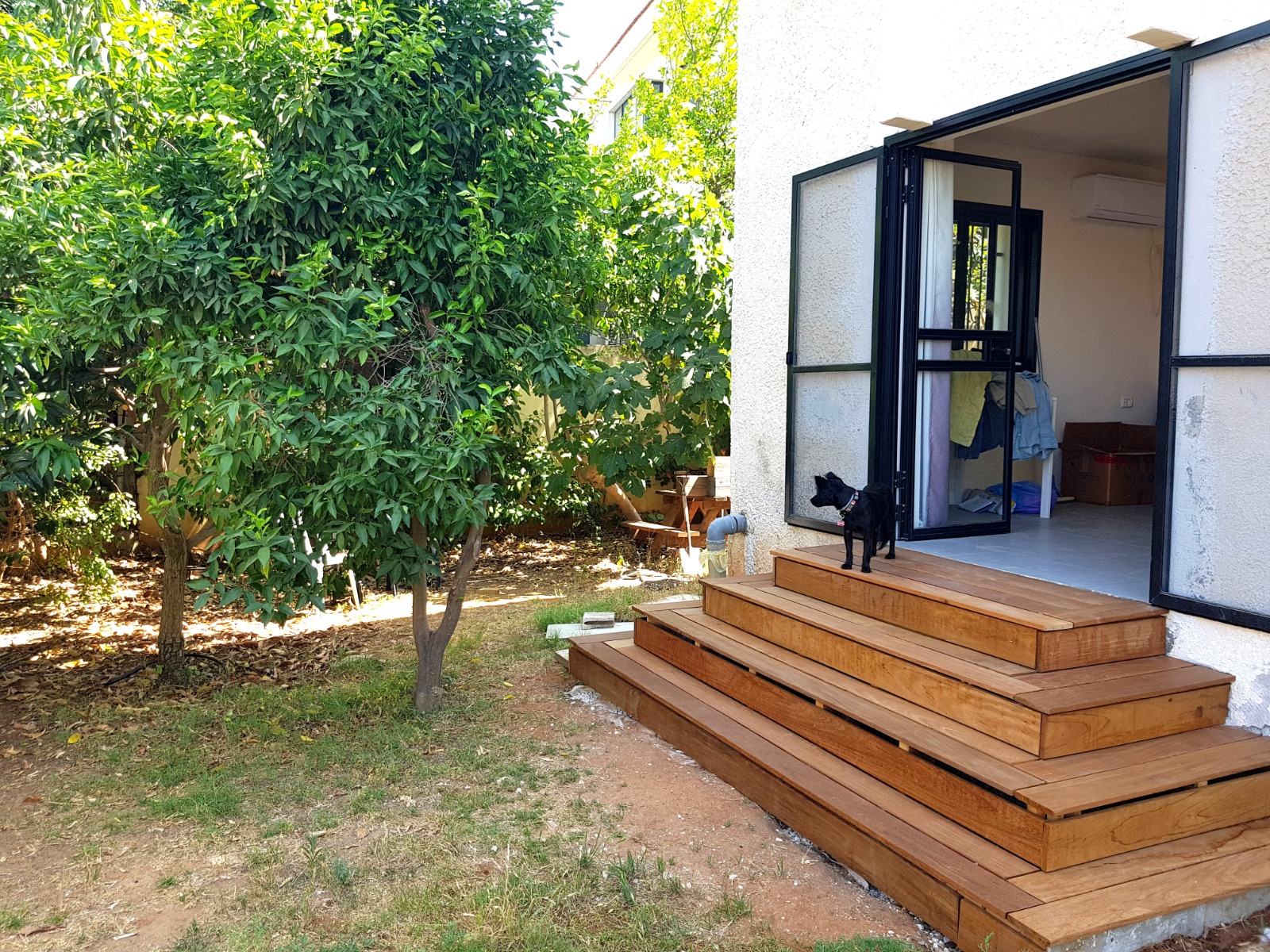 שיפוץ בית אצל אלכס וגריי