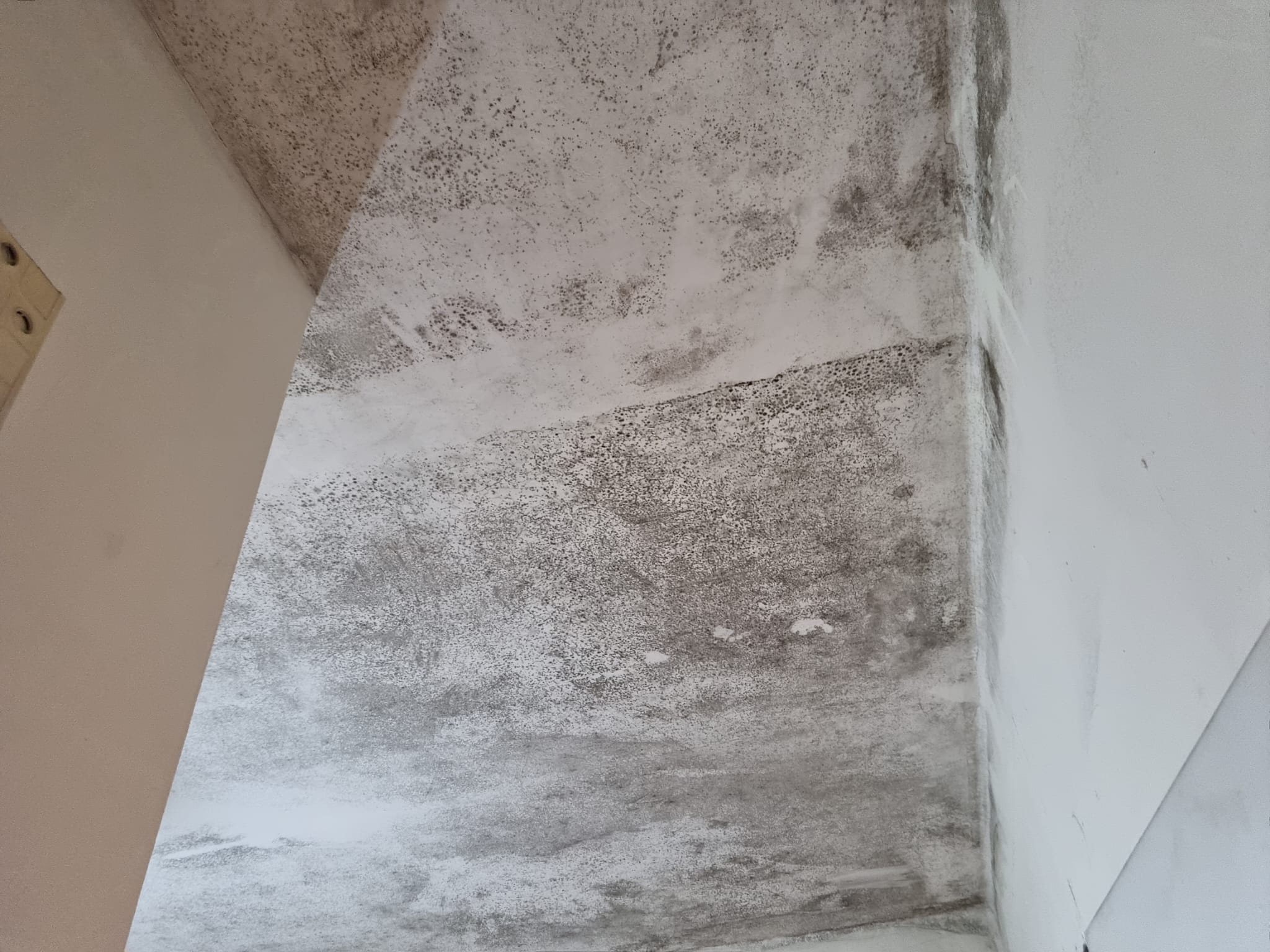 עבודות שיפוצים