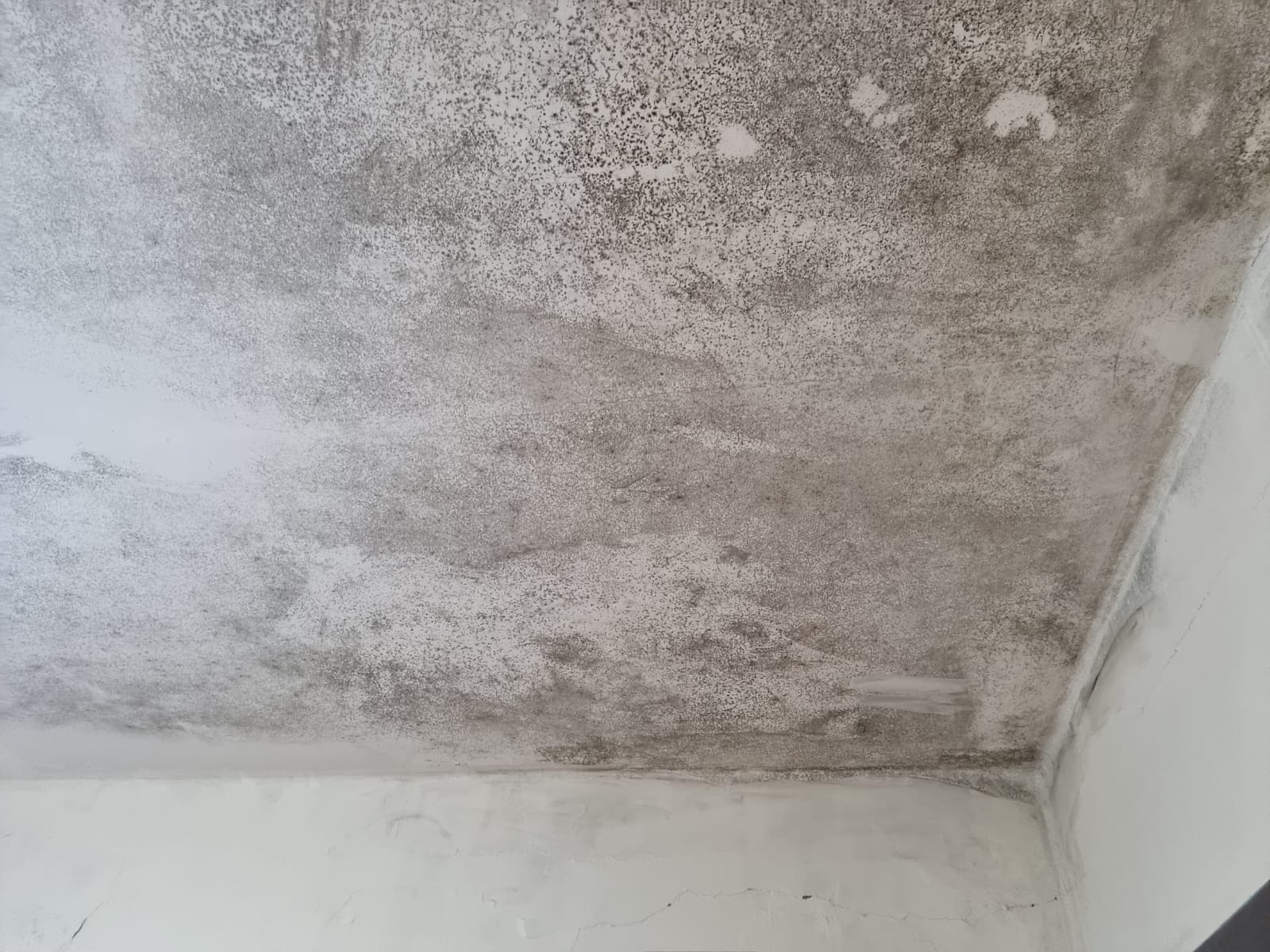 עבודות שיפוצים