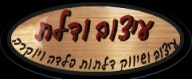 עיצוב ודלת