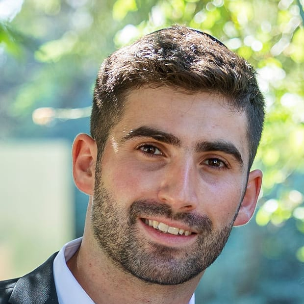 יהושע פייביש