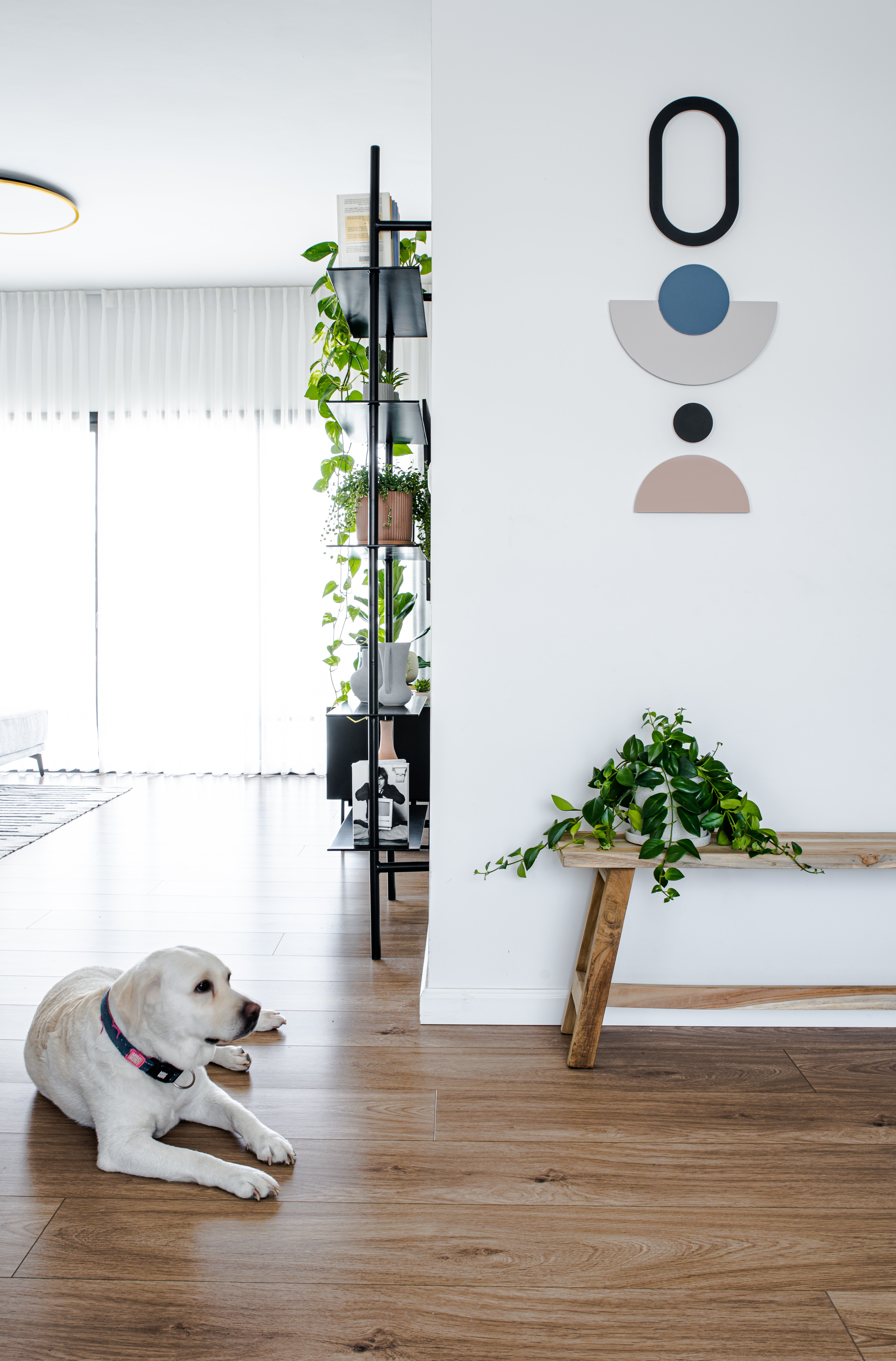 עיצוב פנים והלבשת פנטהאוז במודיעין