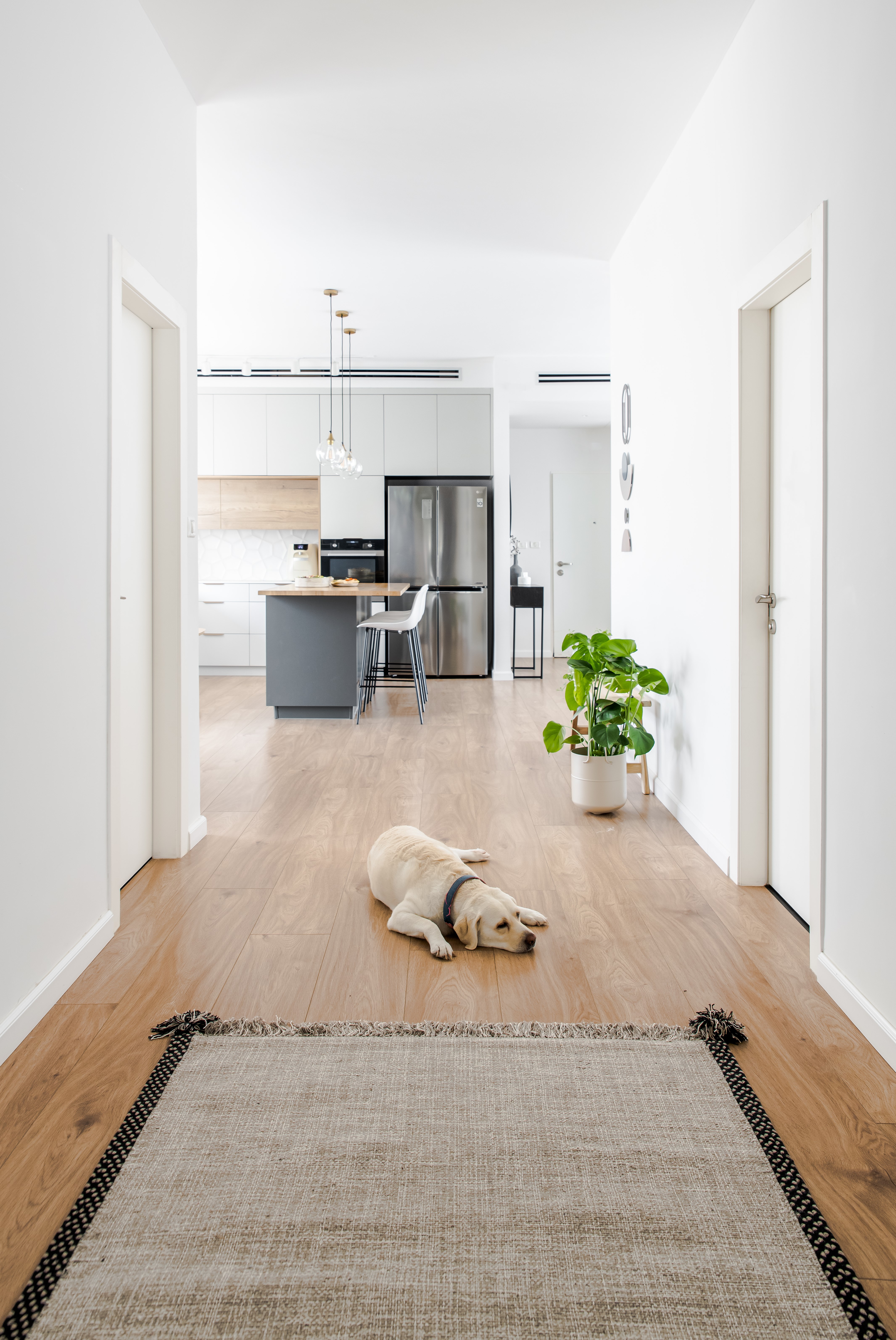 עיצוב פנים והלבשת פנטהאוז במודיעין