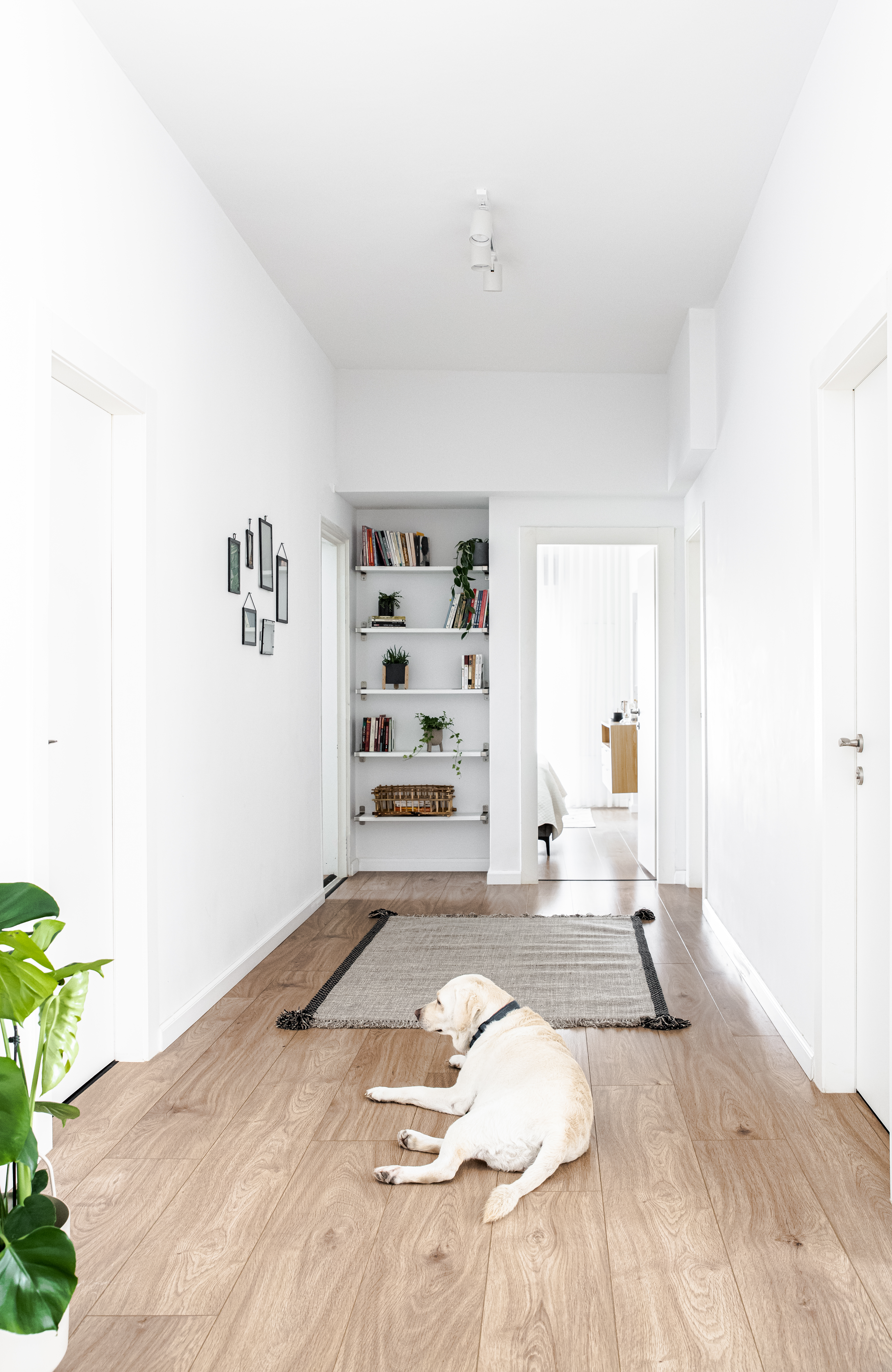 עיצוב פנים והלבשת פנטהאוז במודיעין