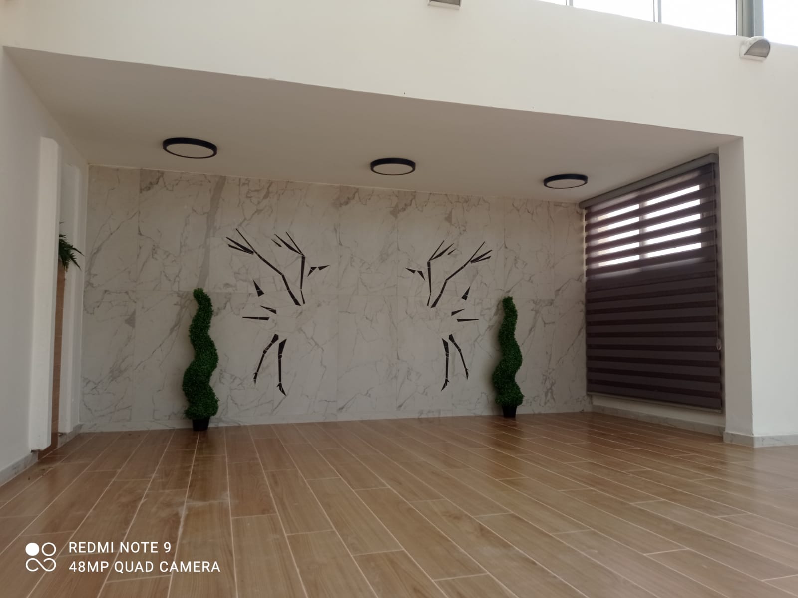 שיפוץ בית ספר