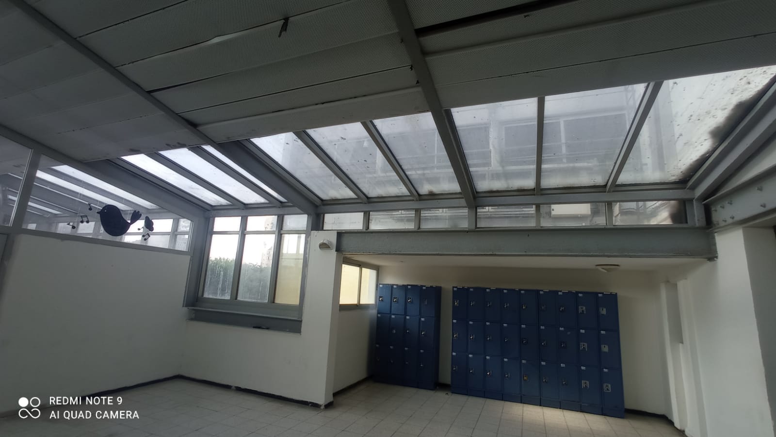 שיפוץ בית ספר