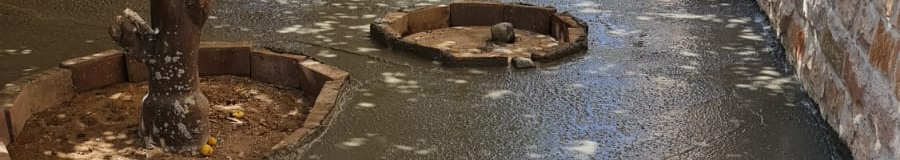 צילום מעבודה של ראפת איברהים