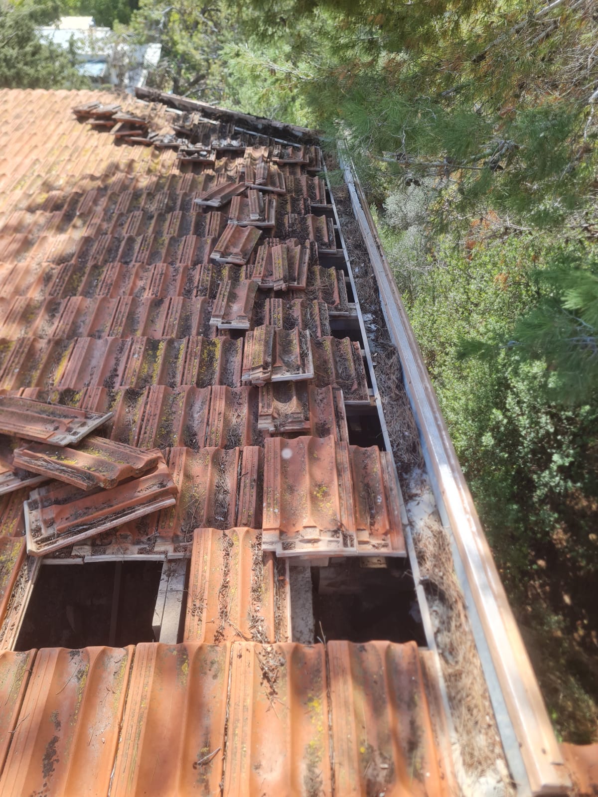 התקנה וניקוי מרזבים