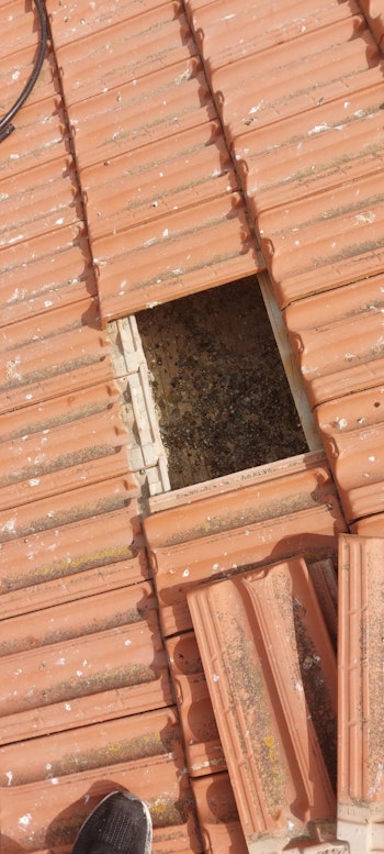 ניקוי לשלשלת יונים