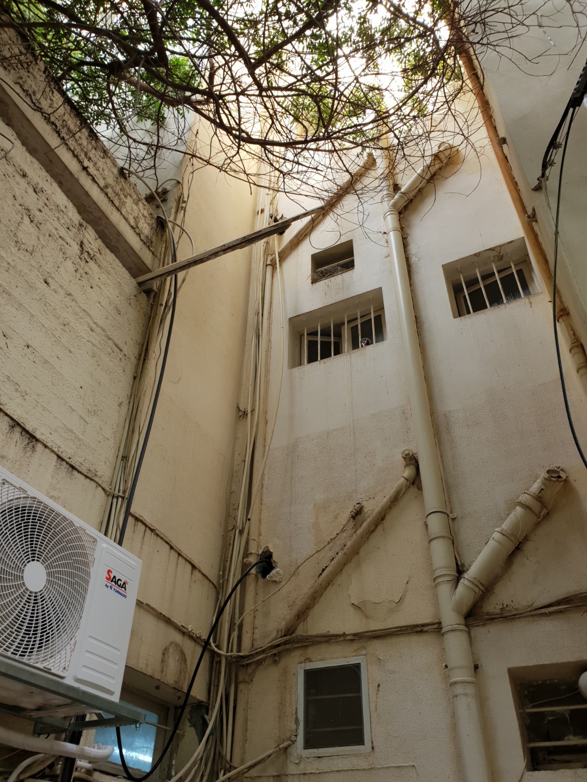 שיפוץ בניין פנים וחוץ בחיפה