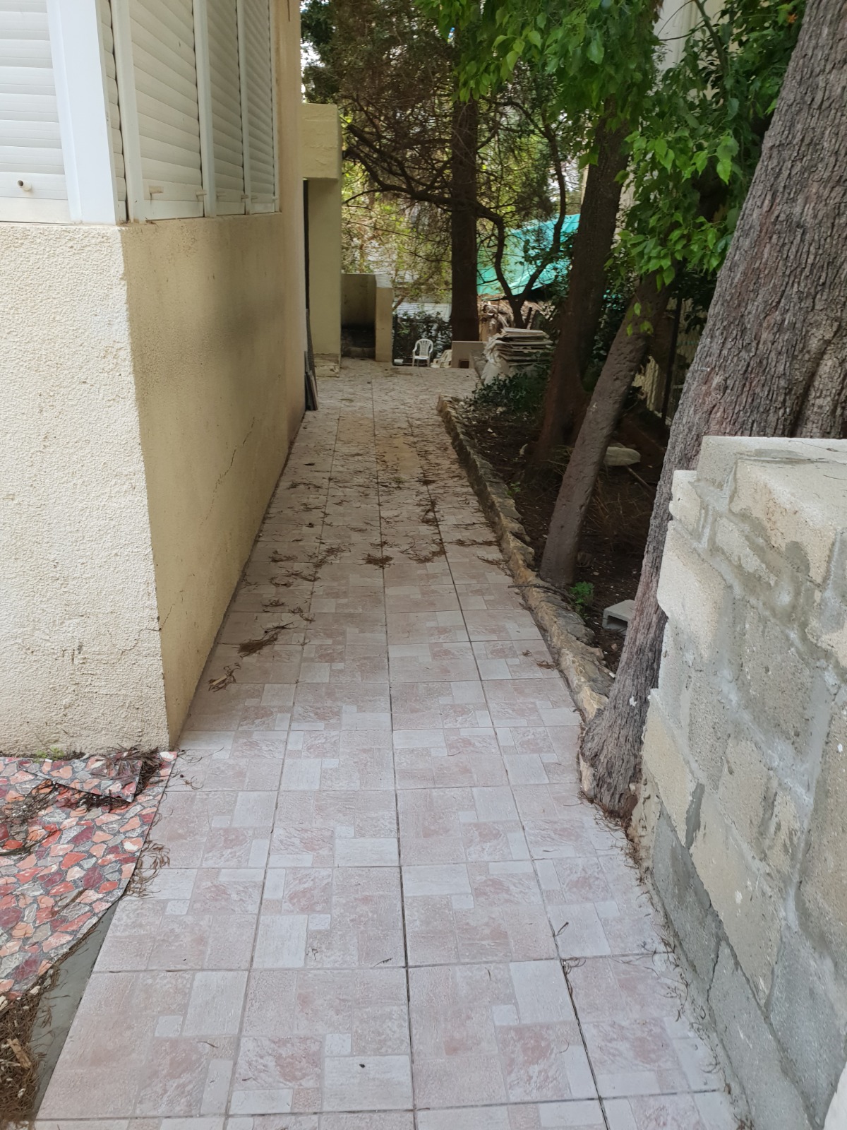 שיפוץ בניין פנים וחוץ בחיפה