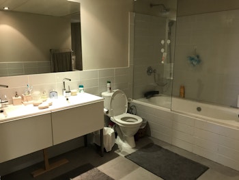 בניית בית מעץ