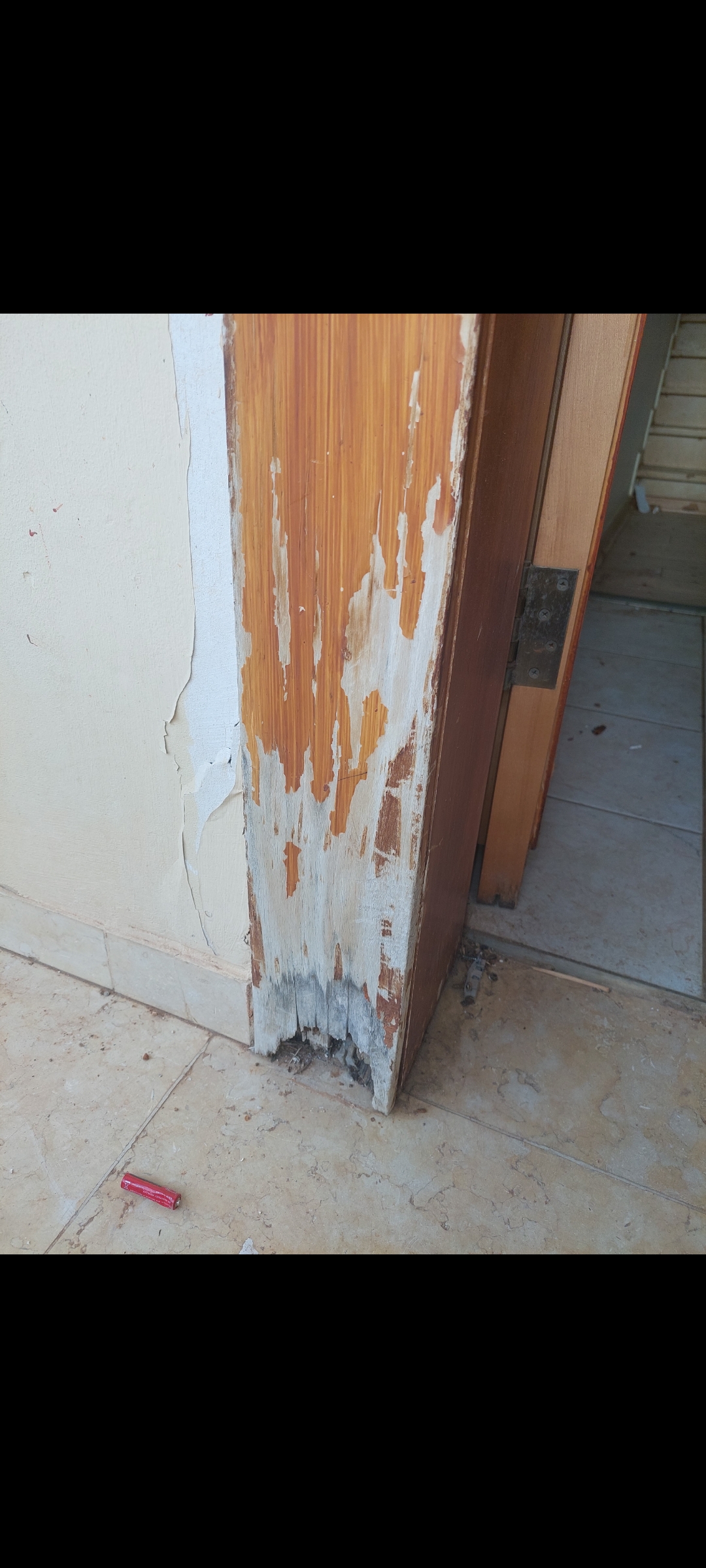 שיפוץ  וחידוש של דלת כניסה