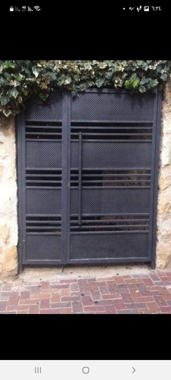 דלתות כניסה