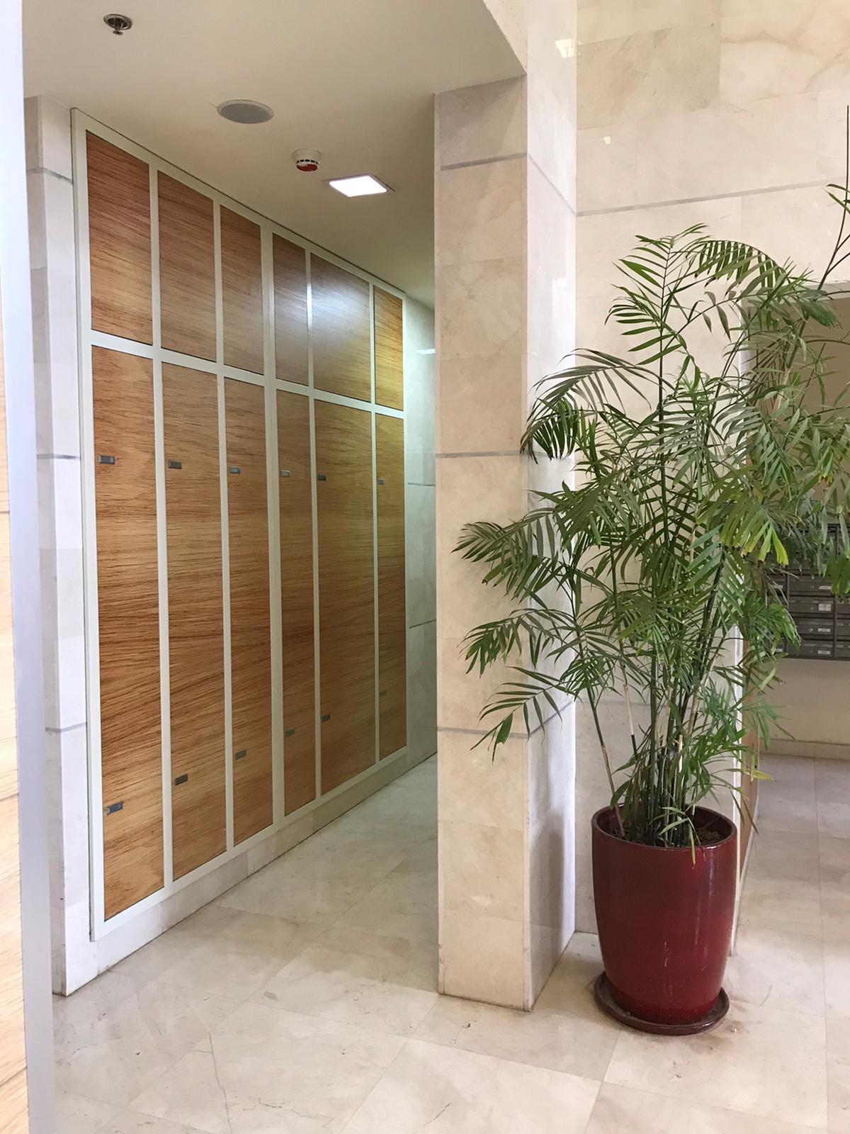 צילום מעבודה של דוד אשטר