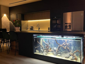 מטבחים מודרניים