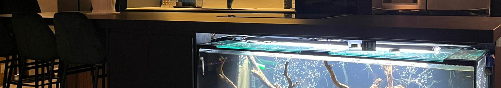 צילום מעבודה של נור אלוש