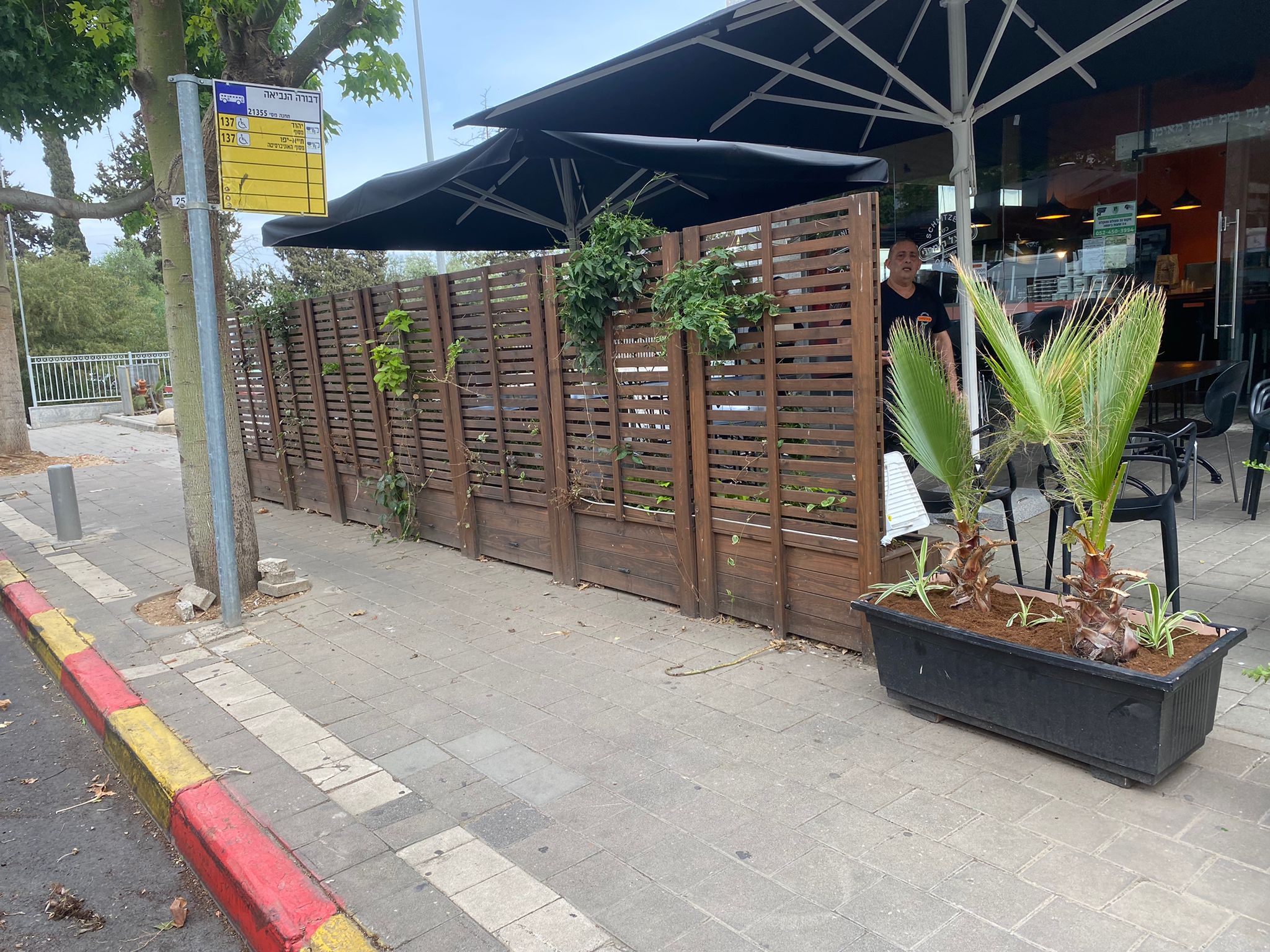 חידוש גינות