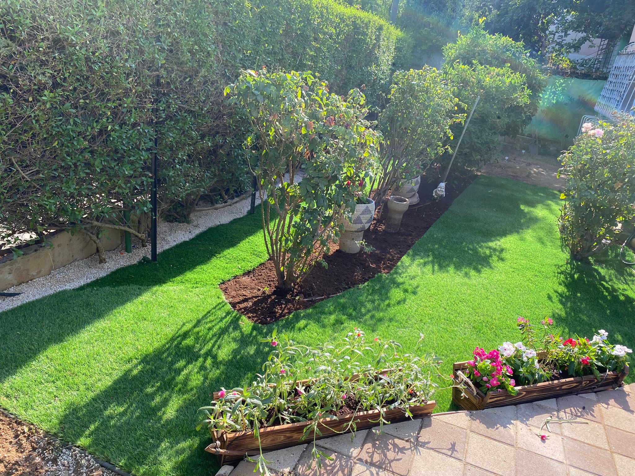 חידוש גינות