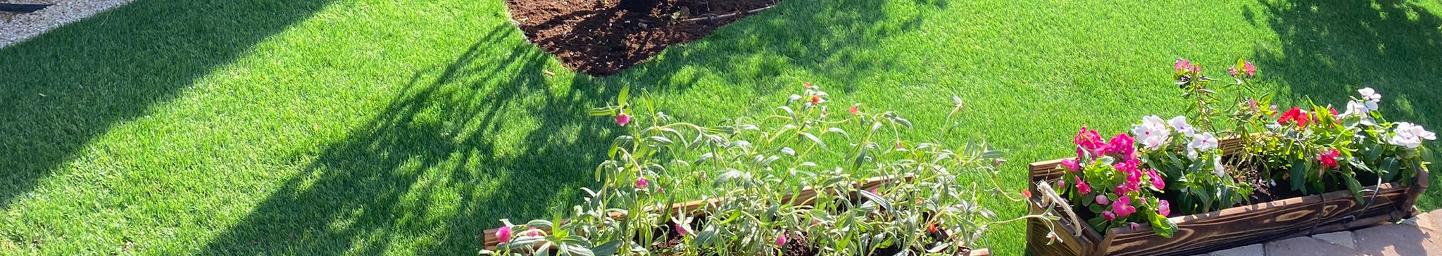 צילום מעבודה של נועם נחום