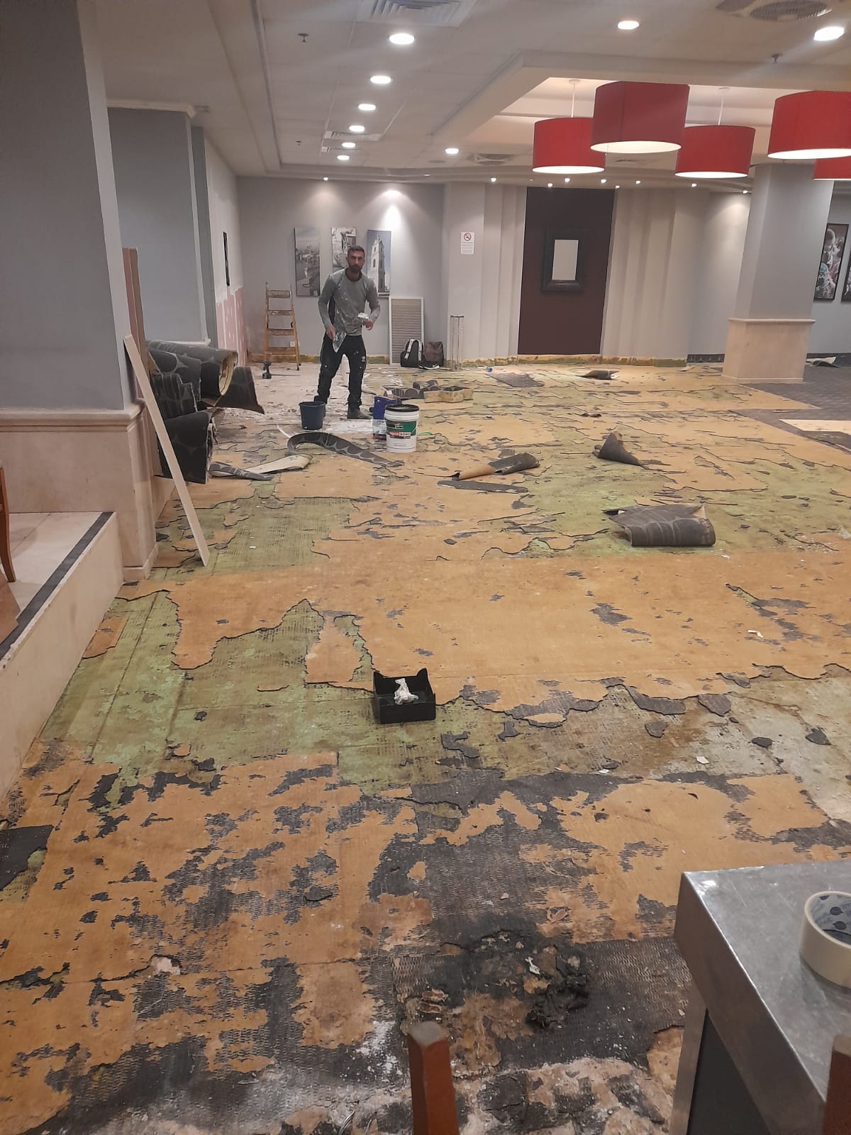 שיפוץ מלון לאונרדו