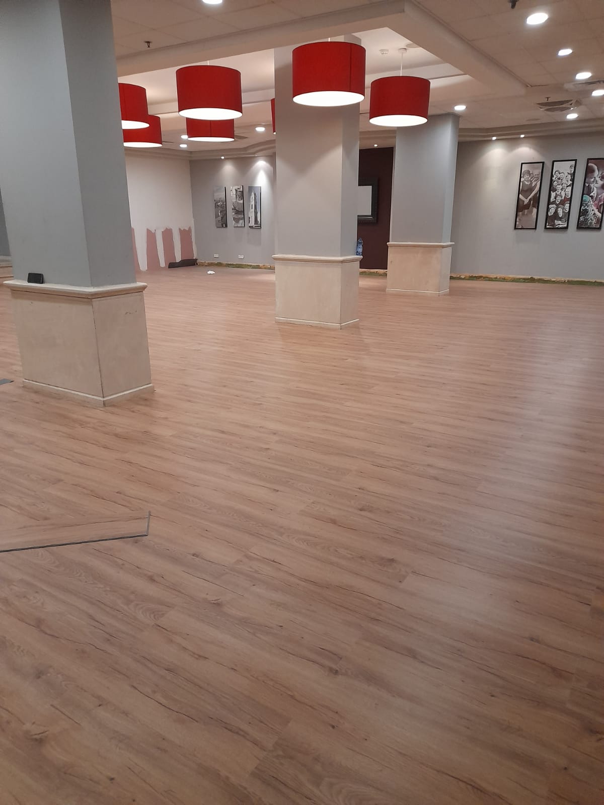 שיפוץ מלון לאונרדו