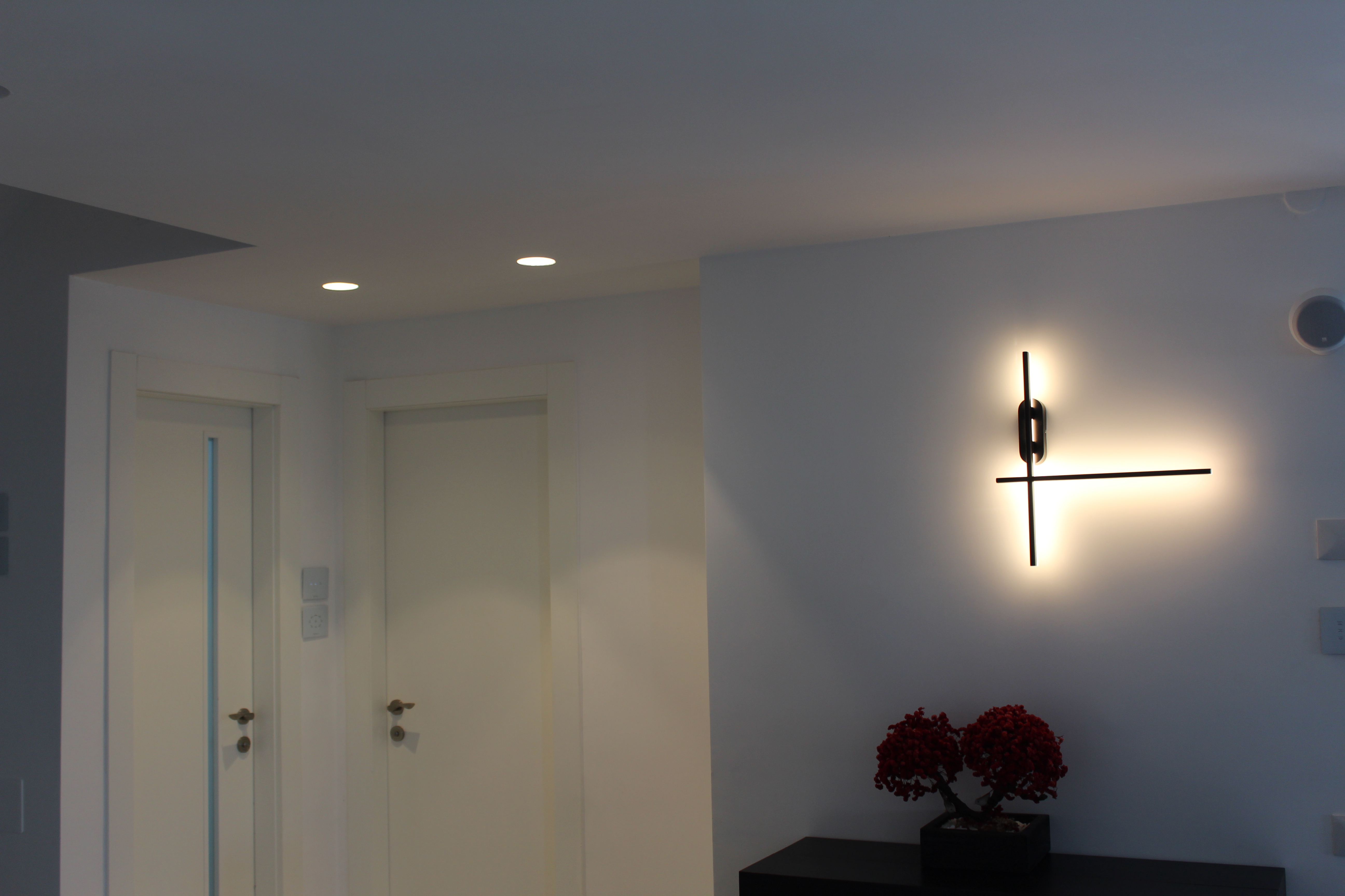 שיפוץ דופלקס בכפר סבא