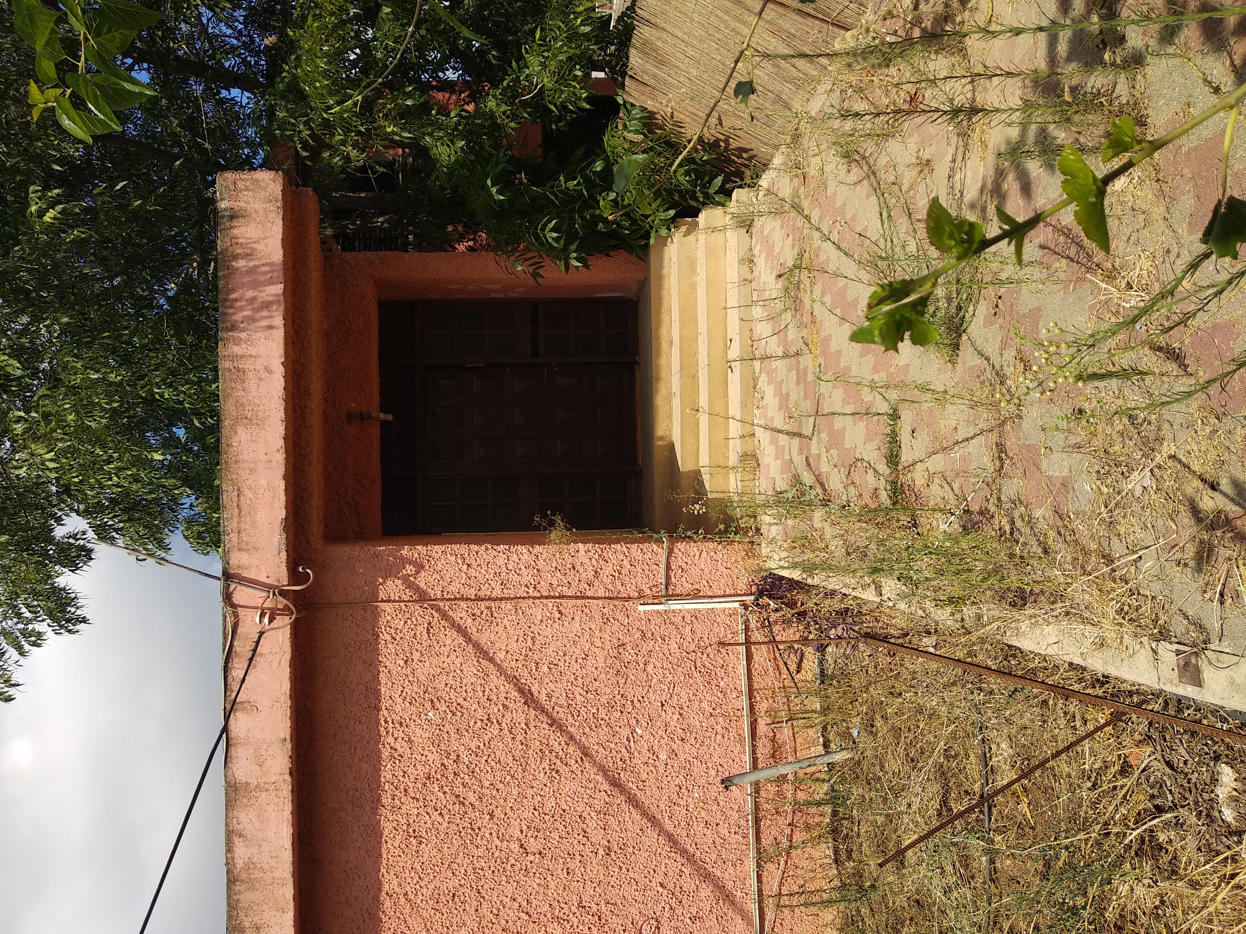 שיפוץ בית קומפלט