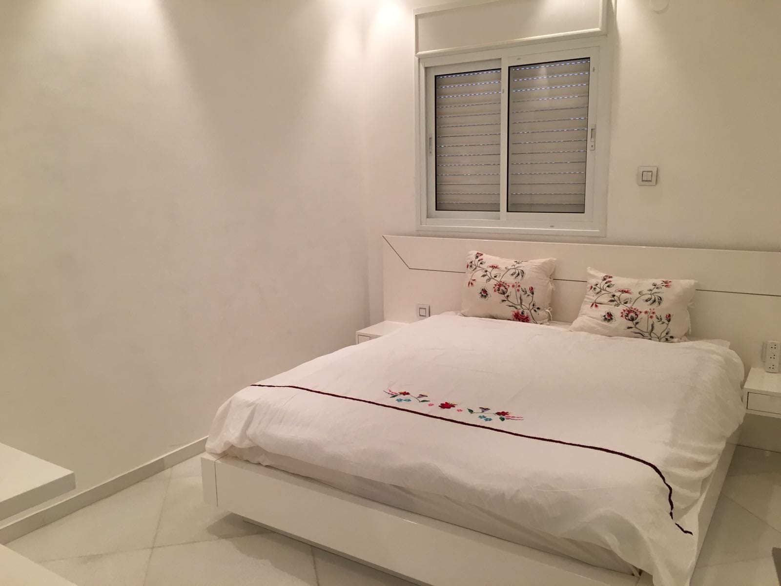 צבע ותיקונים