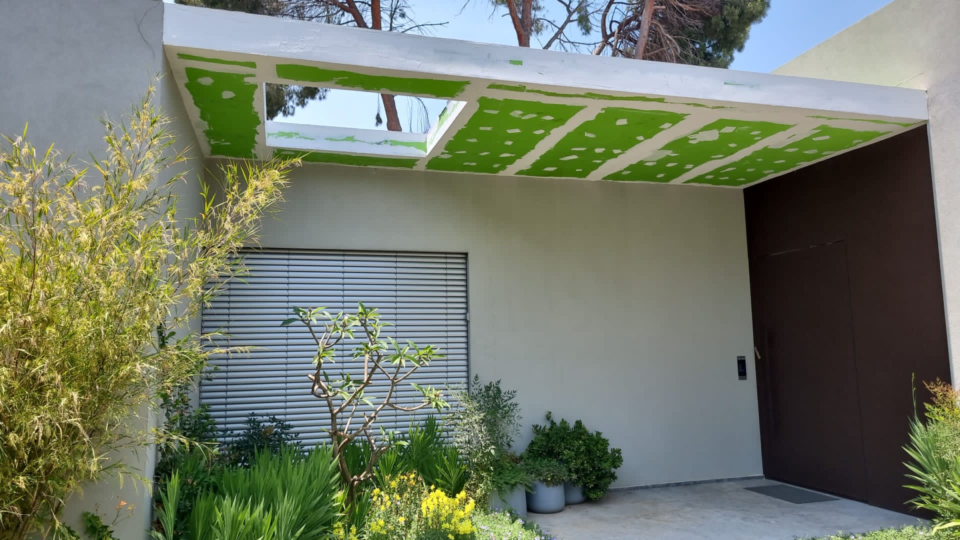 צבע ותיקונים