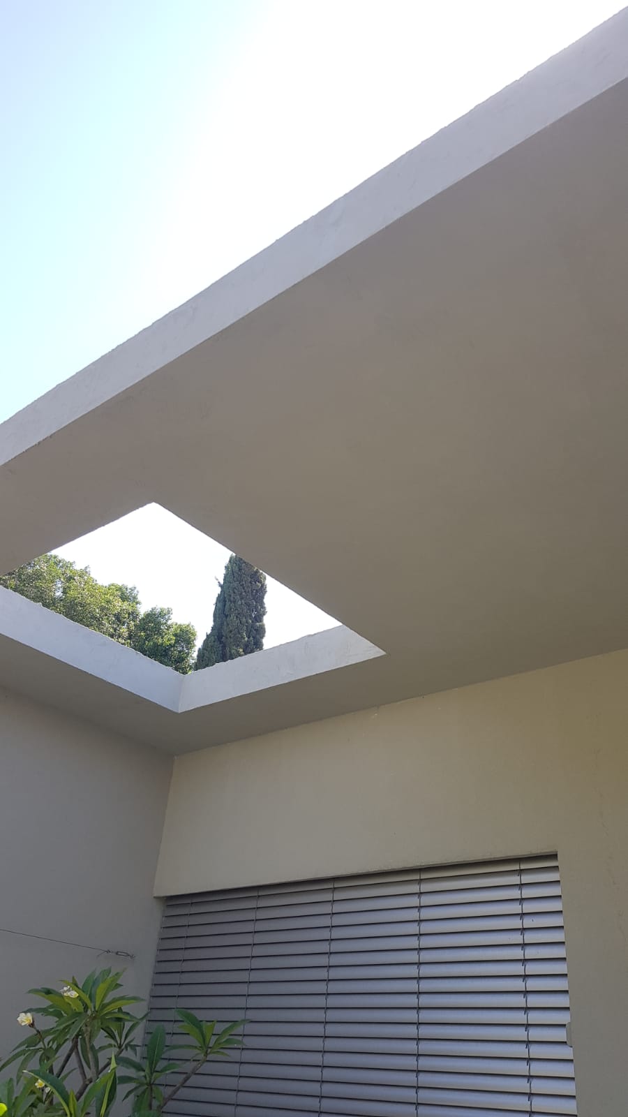 צבע ותיקונים