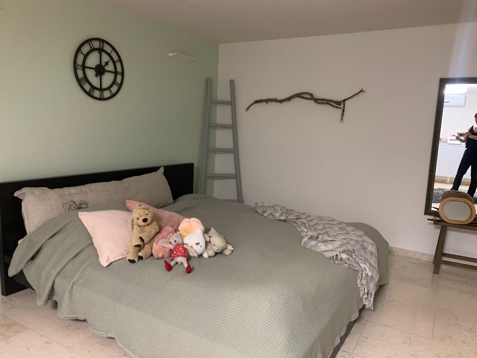 צבע ותיקונים