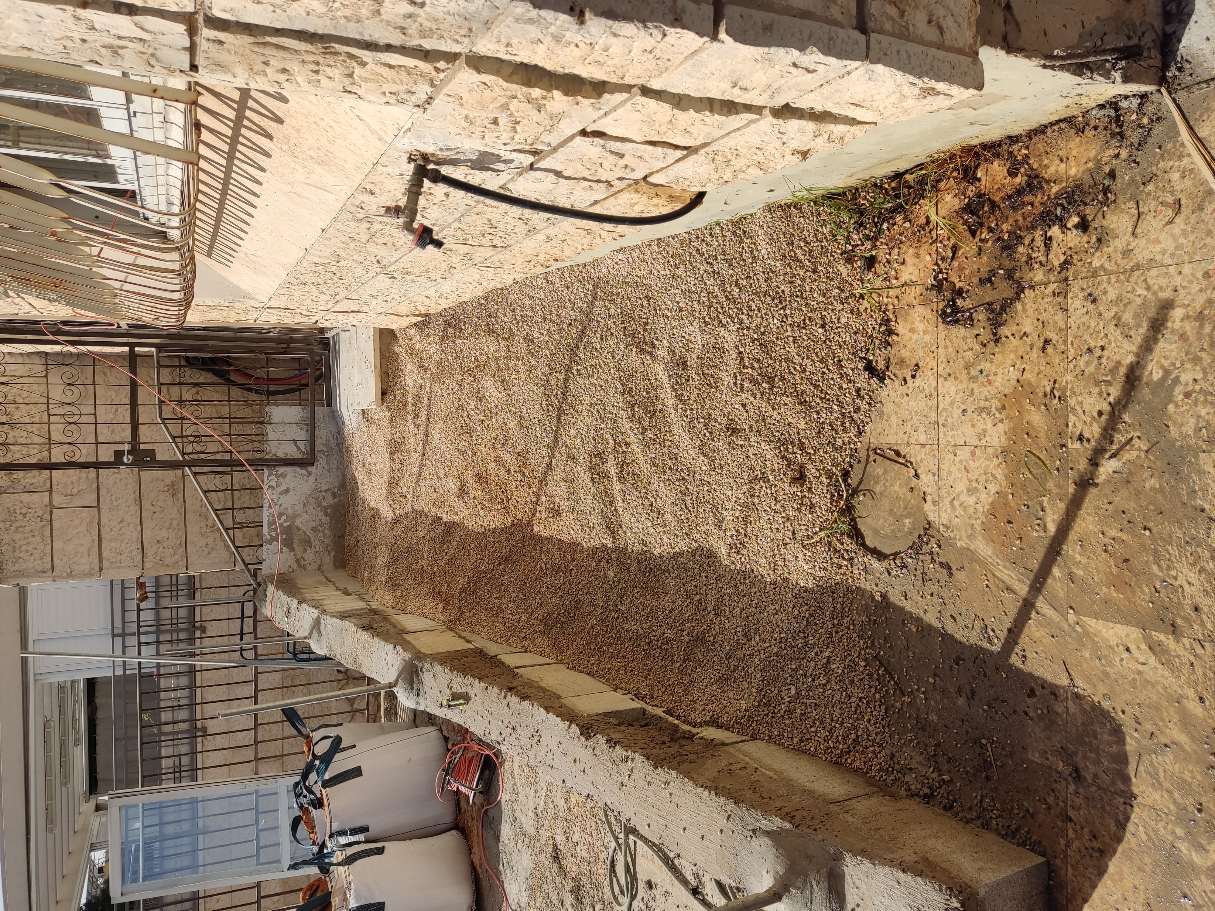 הנגשת שביל גישה לנכים