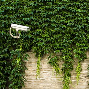 מערכות ומלצמות אבטחה