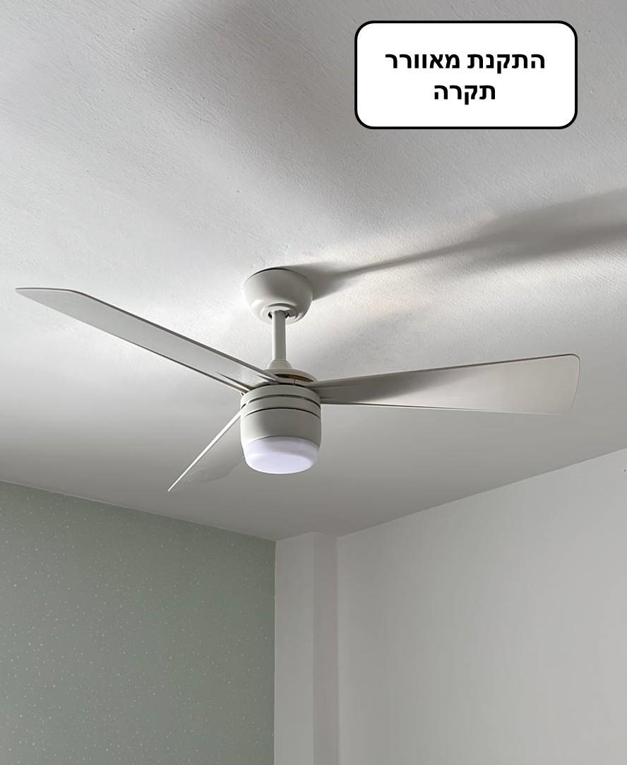 עבודות תיקונים וצבע