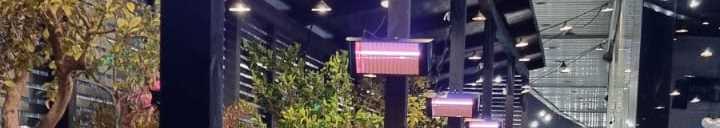 צילום מעבודה של חן אזולאי