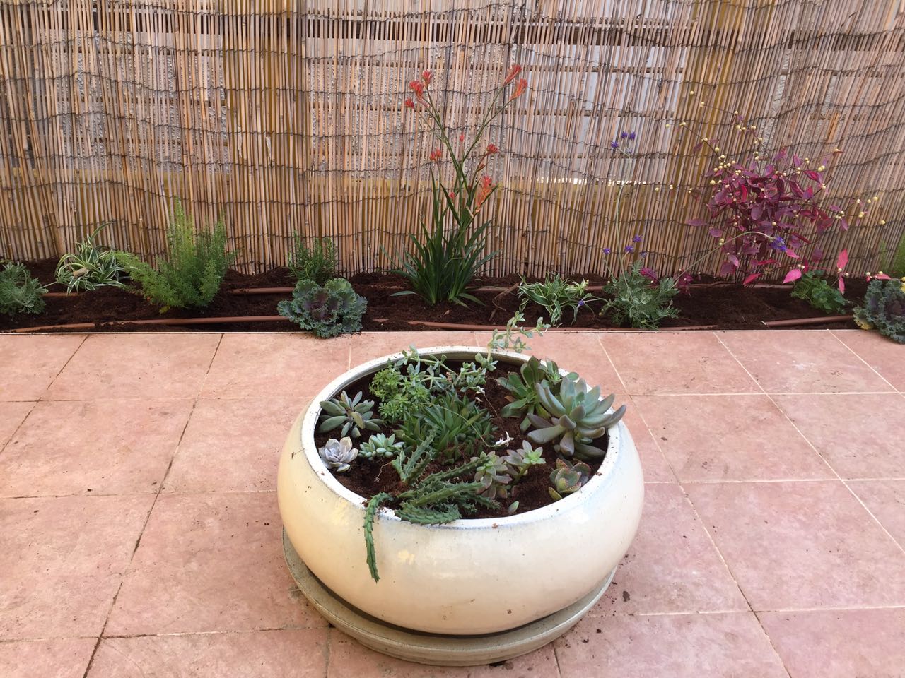 תיקונים שונים