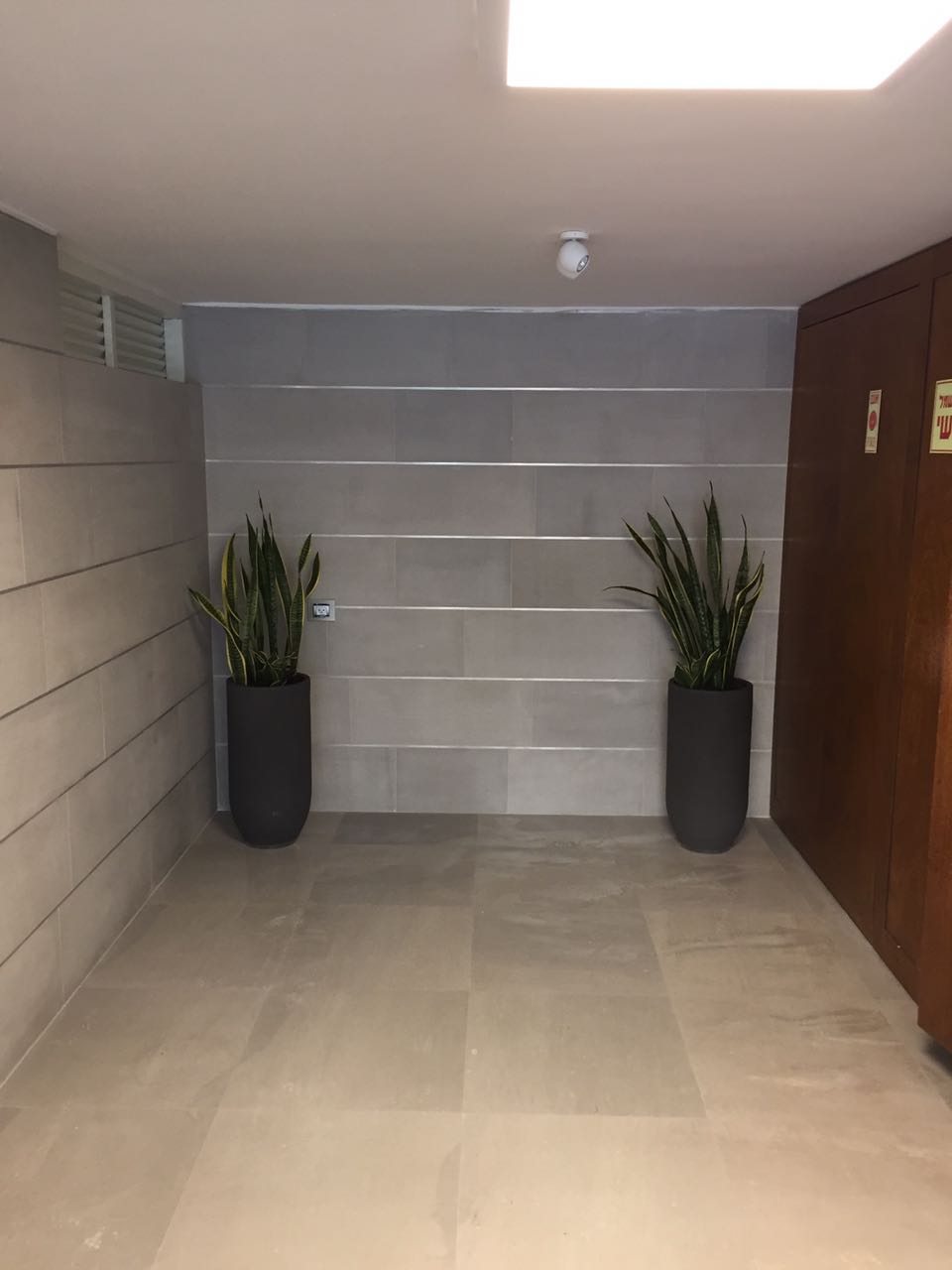 צילום מעבודה של דין וידבסקי